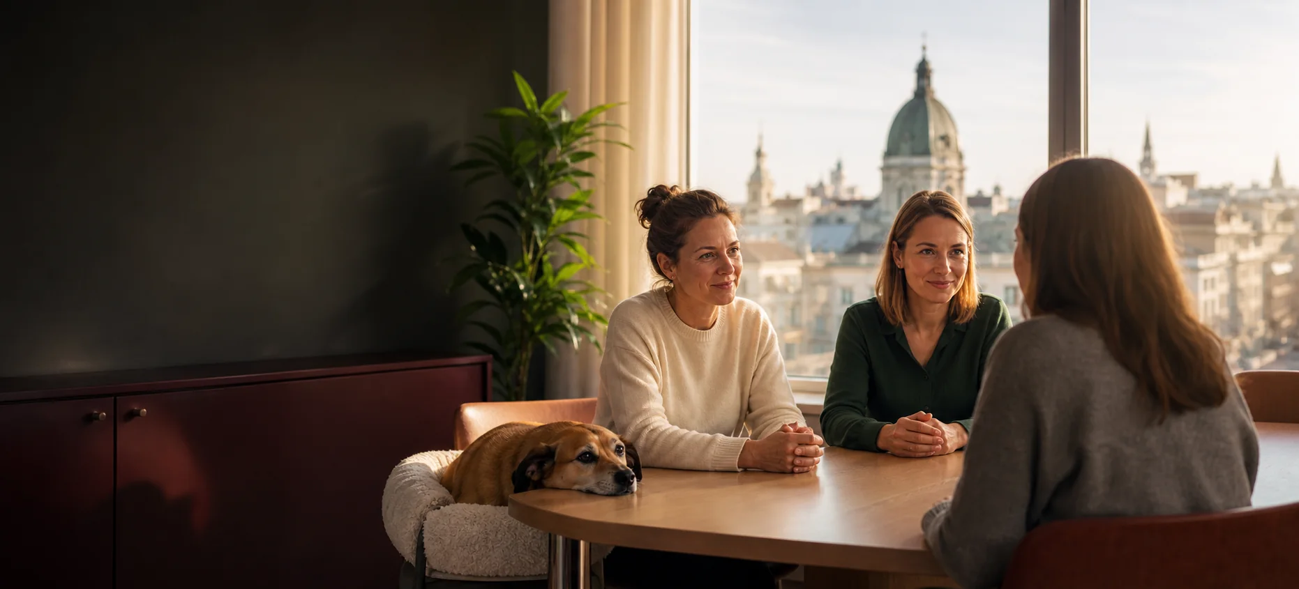 Zwei Personen im Gespräch in einem Wiener Büro.