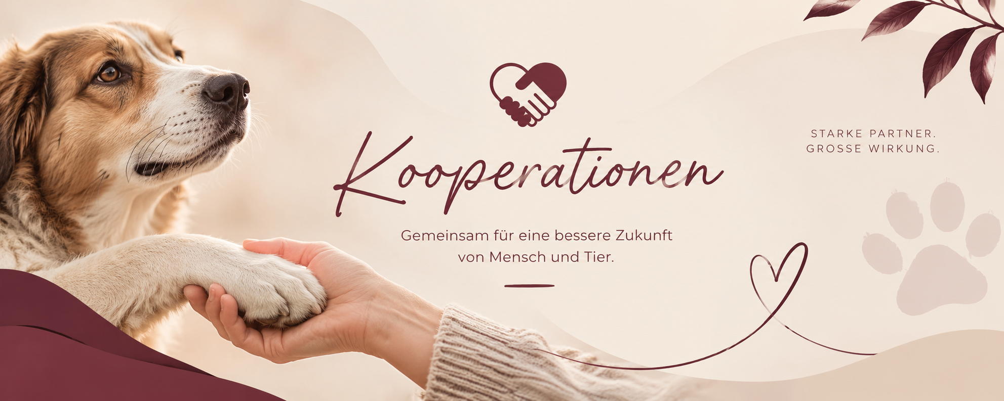 Kooperationen – Paw Alliance International